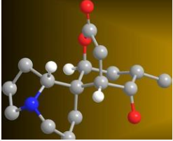 1462256796882883.png 圖片2.png