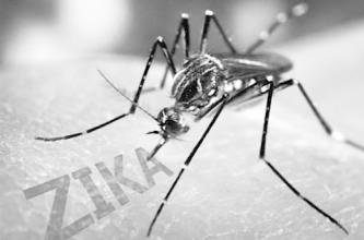 1473141445515348.jpg u=4050997681,3351558752&fm=21&gp=0.jpg