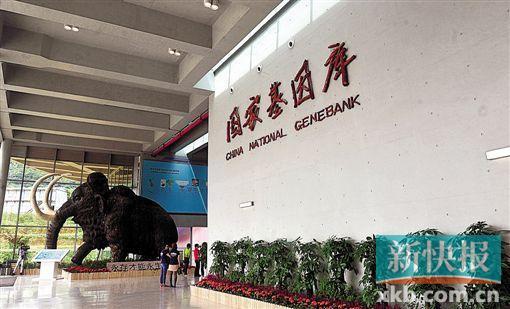 微流控芯片|微流控芯片批量加工