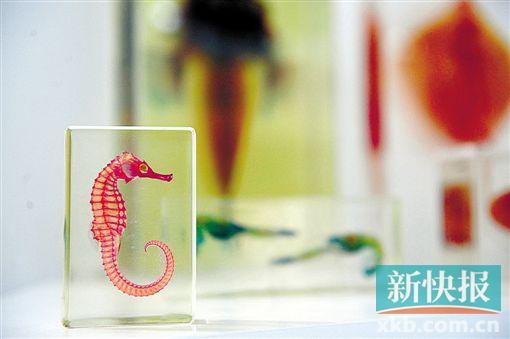 微流控芯片|微流控芯片批量加工