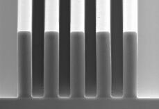 1479175347425885.jpg 1470110454.jpg