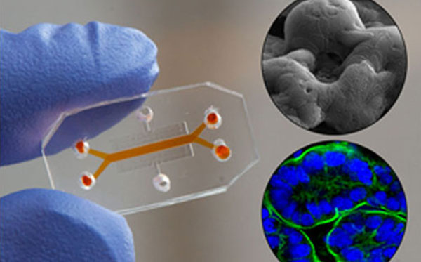 1481002457113001.jpg 芯片