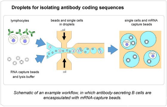 1481618175111577.jpg 20151205092701195.jpg