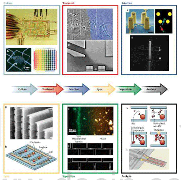 1484124231276737.png 微流控芯片
