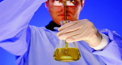 1486432673778487.jpg 3056.jpg