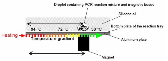1487554343131806.jpg QQ截圖20170220093159.jpg