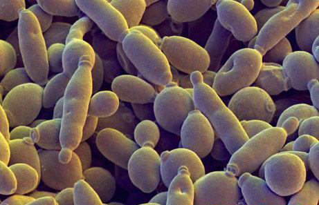 1490059889328633.jpg sss.jpg