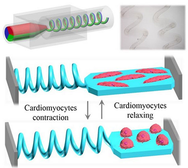 微流控技術(shù)