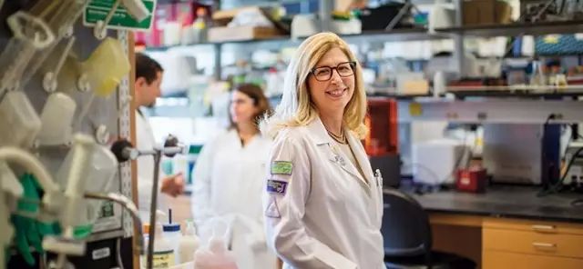 1490841657143295.jpg 20170329134627640.jpg