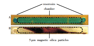 1501573429221183.png 20170801154006.png