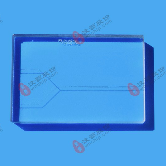 汶顥微流控芯片技術公司生產的芯片 汶顥微流控芯片技術公司生產的芯片