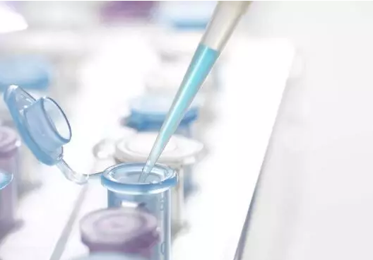 DNA檢測(cè)技術(shù) DNA檢測(cè)技術(shù)