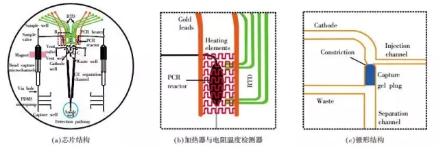 DNA芯片-全集成芯片原理結(jié)構(gòu) DNA芯片-全集成芯片原理結(jié)構(gòu)