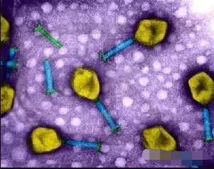 微流控芯片用于細(xì)胞篩選 微流控芯片用于細(xì)胞篩選