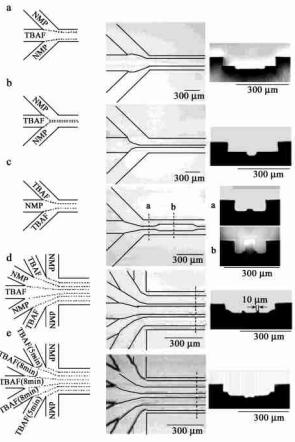 微流控層流在生命醫學方面的應用