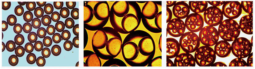 Droplet Example: Double Emulsion Microscopy Photographs: Mononuclear, binuclear, multicore