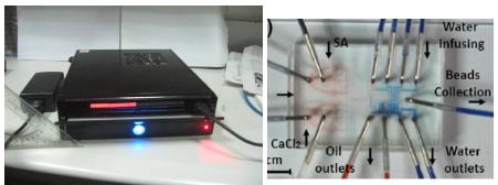 新型數字化閥控微流平臺及其應用在藥物開發(fā)和抗藥篩選方面的研究