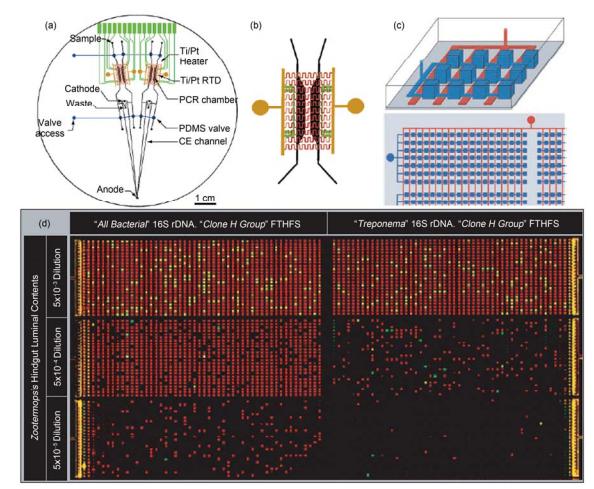 集成微流控芯片用于聚合酶鏈式反應(PCR)應用實例 (a) 多通道 RT-PCR-CE 芯片結構示意圖, 在 1 塊 100 mm 直徑的芯片上集成有阻抗加熱元件、加熱電極引出條、Ti/Pt 感應溫度傳感器、PCR 反應腔室、電泳分離通道和 PDMS 氣動微閥; (b) 反應腔室區域放大圖[26]; (c) 數位式集成化 PCR 微流控芯片示意圖, 深色, 反應微腔室; 淺色, 微閥; (d) 數位式集成 PCR 反應結果圖