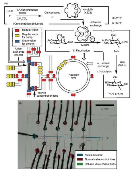 集成微流控芯片用于化學合成的研究 (a) 規模集成式芯片用于操控液體在芯片中合成 2-18 氟-2-脫氧葡萄糖芯片核心結構與過程示意圖[39]; (b) 用于合成寡聚核苷酸分子的集成式 PFPE 微流控芯片實物圖