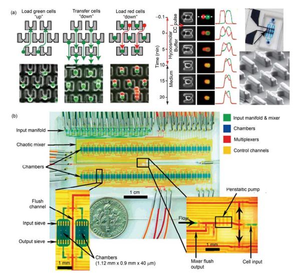 集成微流控芯片對細胞的操控與全自動培養 (a) 利用芯片的加工對 A 和 B 細胞配對精確控制, 并在芯片上進行高效率細胞融合[17]; (b) 全集成微流控芯片對細胞的全自動化連續培養