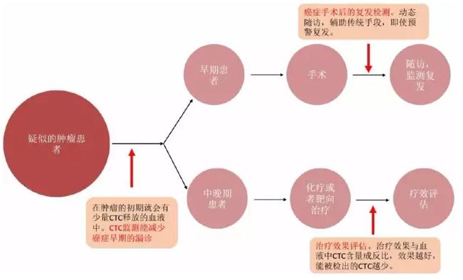 CTC在癌癥治療中的應(yīng)用場景 CTC在癌癥治療中的應(yīng)用場景