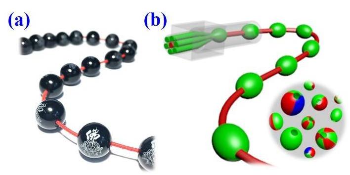 毛細管陣列微流控技術制備大孔微載體