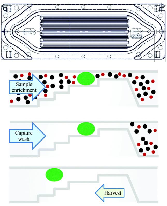 一次性Parsortix盒整體及截面結構示意圖 一次性Parsortix盒整體及截面結構示意圖