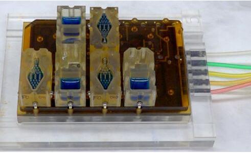 EVATAR是一款口袋大小的女性生殖系統(tǒng)模型，血樣流體（藍(lán)色）將流經(jīng)含有微型器官的孔