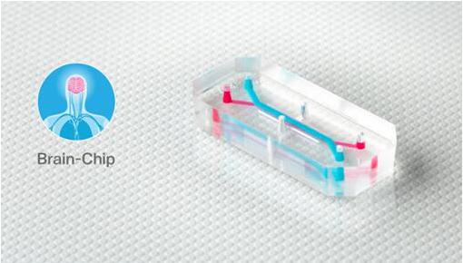 Emulate的器官芯片，如大腦芯片，包含排列成千上萬(wàn)活的人體細(xì)胞和組織的微小中空通道，每個(gè)都有大約AA電池（5號(hào)電池）大小