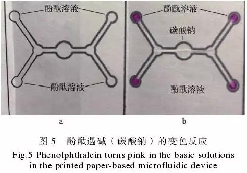為了驗證紙包裝與紙基微流控芯片的整合技術(shù),在紙盒的4個體板上分別制作了4個微流控芯片,該紙基芯片在pH值檢測中的應(yīng)用示例見圖5。 為了驗證紙包裝與紙基微流控芯片的整合技術(shù),在紙盒的4個體板上分別制作了4個微流控芯片,該紙基芯片在pH值檢測中的應(yīng)用示例見圖5。