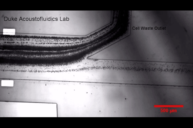 聲波取外泌體診斷癌癥技術 聲波取外泌體診斷癌癥技術