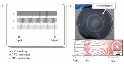 圖2 蛇形通道型 PCR芯片:(A) 平行通道 PCR芯片,(B) 輻射通道 PCR芯片 圖2 蛇形通道型 PCR芯片:(A) 平行通道 PCR芯片,(B) 輻射通道 PCR芯片
