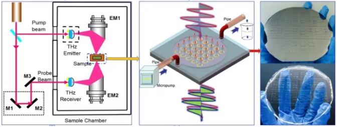 負(fù)折射率超材料生化傳感器研究 負(fù)折射率超材料生化傳感器研究