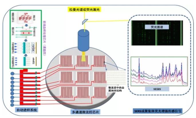 高增敏金屬納米結(jié)構(gòu)材料與聚集體生化傳感器研究 高增敏金屬納米結(jié)構(gòu)材料與聚集體生化傳感器研究
