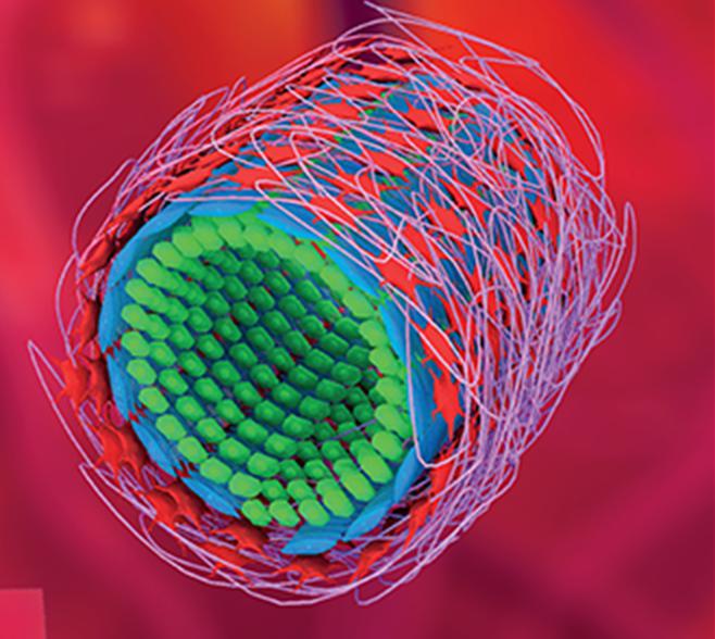 降解過程中保持形狀穩定的自適應多層管狀聚合物血管支架 降解過程中保持形狀穩定的自適應多層管狀聚合物血管支架