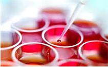 納米技術(shù)芯片或可一次性修復受傷組織 納米技術(shù)芯片或可一次性修復受傷組織