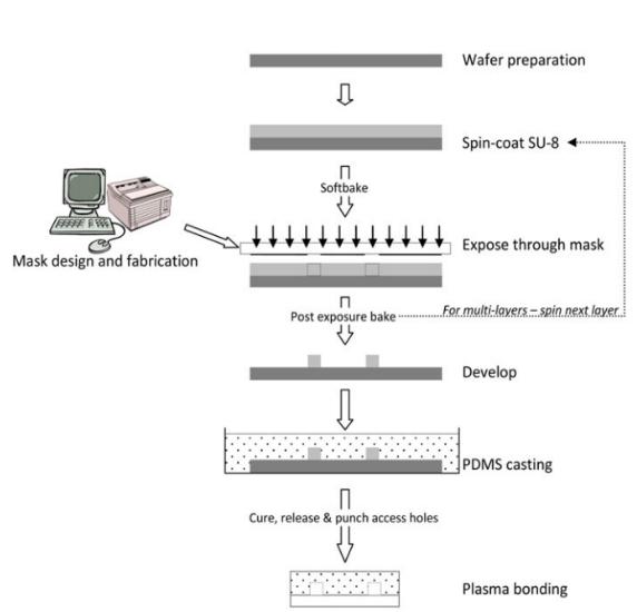 基于SU-8光刻膠的PDMS倒模加工技術(PDMS-玻璃)