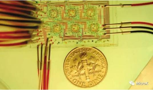 培養微生物的微恒化器