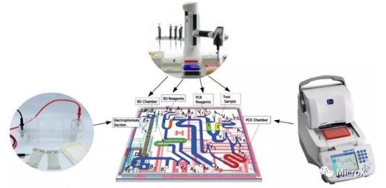 PCR反應，DNA電泳在芯片上的整合