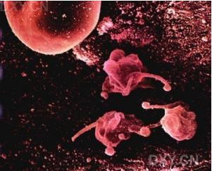 用于組織細胞培養的常規實驗室設備