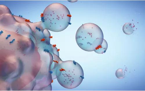 基于外泌體與蛋白質(zhì)組學(xué)的液體活檢技術(shù),新產(chǎn)品助力癌癥診斷 基于外泌體與蛋白質(zhì)組學(xué)的液體活檢技術(shù),新產(chǎn)品助力癌癥診斷