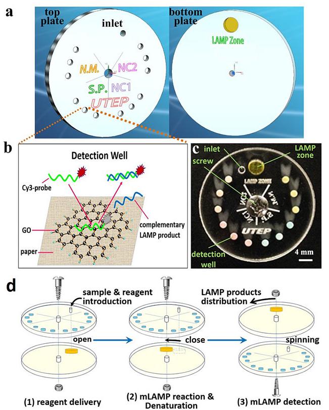 小小可旋轉CD生物芯片實現多種傳染性疾病的及時定量診斷