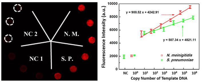 微流控生物芯片在醫療診斷應用