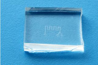 汶顥PDMS芯片 汶顥PDMS芯片