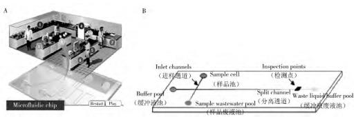 圖 1 微流控芯片的主要功能(A)及常見微流控芯片通道結構(B) 圖 1 微流控芯片的主要功能(A)及常見微流控芯片通道結構(B)