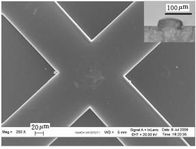 圖4 PMMA模具的SEM 照片與截面的顯微照片