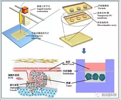 開放式微流控芯片組織陣列系統 開放式微流控芯片組織陣列系統