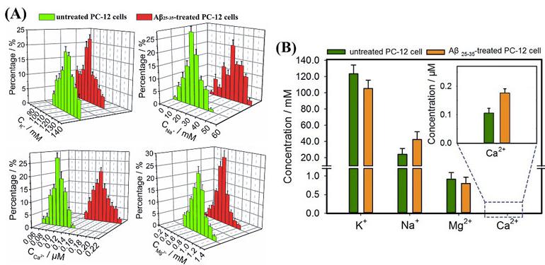 圖3. （A）Aβ25-35刺激前后Na+、K+、Ca2+、Mg2+濃度變化的正態分布圖；（B）Aβ25-35刺激前后Na+、K+、Ca2+、Mg2+濃度變化的柱狀圖