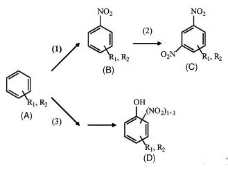 圖3&nbsp;主反應和副反應步驟