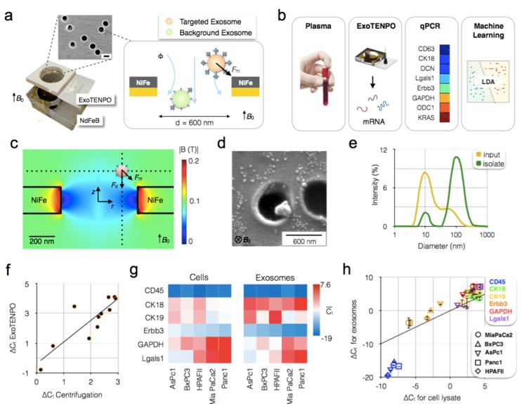 基于ExoTENPO的外泌體捕獲